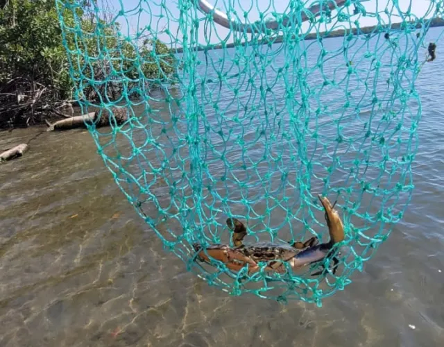 hotel in Barra de Potosí Mexico Blue Crab catching